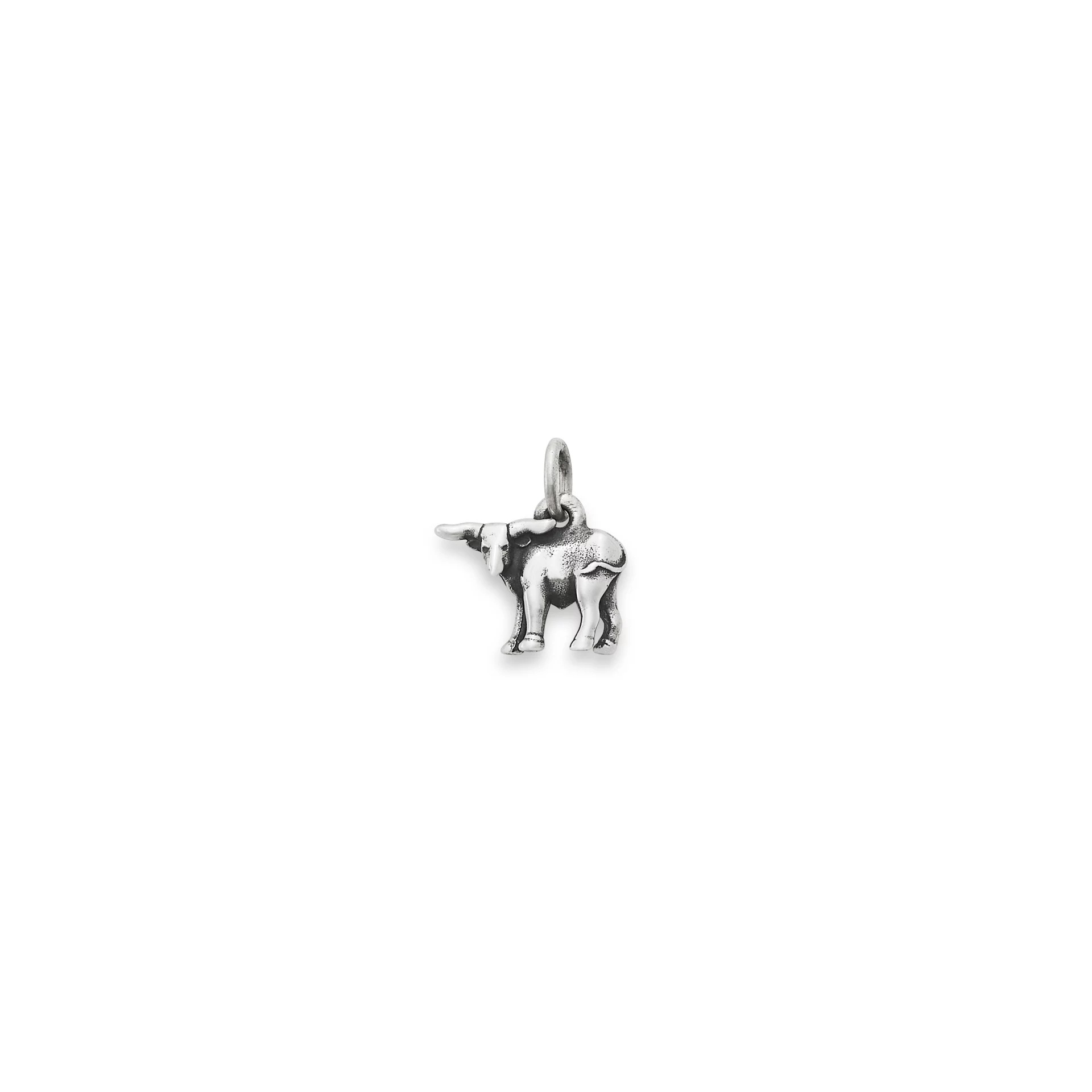 Mini Longhorn Charm